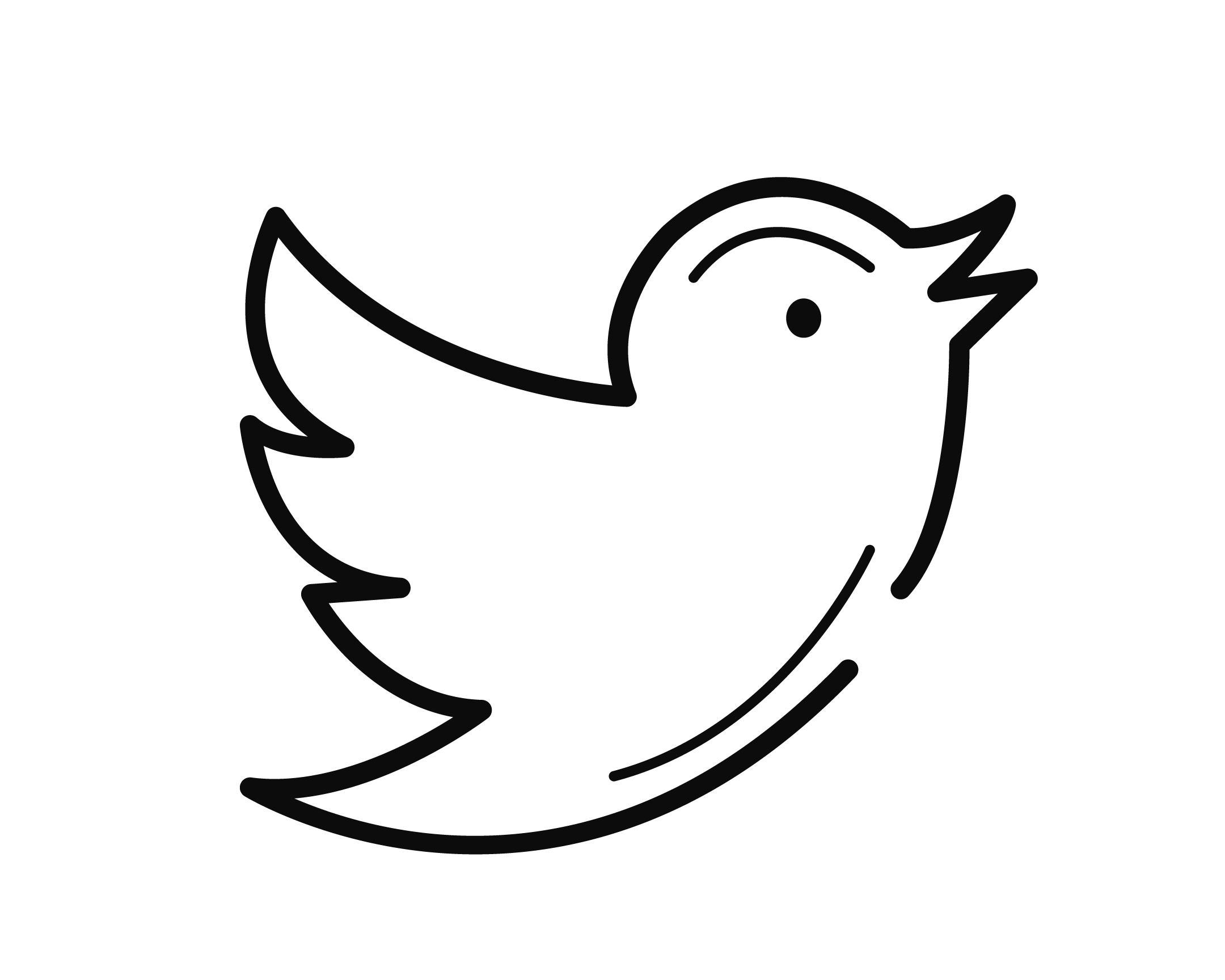 twitter-icon-tinified.webp